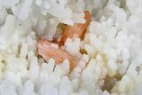 Peach Stilbite Crystals on Sparkling Quartz Chalcedony - India #176835-3
